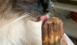 吃冰淇淋的视频,冰淇淋美味瞬间捕捉