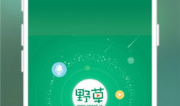 草在线视频,带你领略自然之美